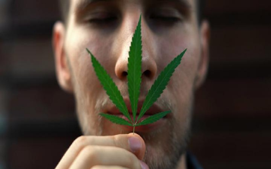 Cómo quitar el olor a marihuana
