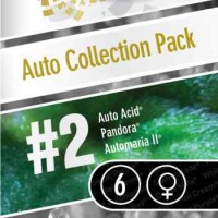 покупка Auto Collection pack #2
