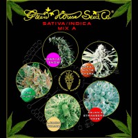 покупка Sativa / Indica Mix A