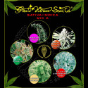 Sativa / Indica Mix A