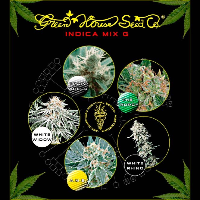 Indica Mix G - Green House