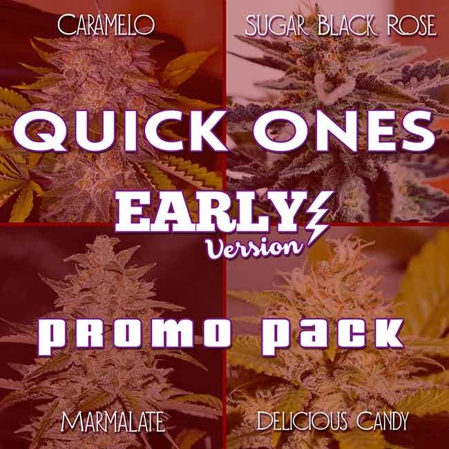 QUICK ONES PROMO PACK - EARLY VERSION - Hanfsamen