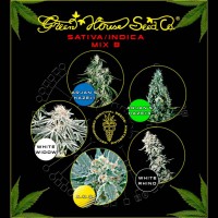 Kauf Sativa / Indica Mix B