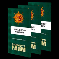 Kauf GIRL SCOUT COOKIES