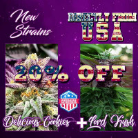 Kauf NEW STRAINS PACK - DELICIOUS COOKIES + LORD KUSH