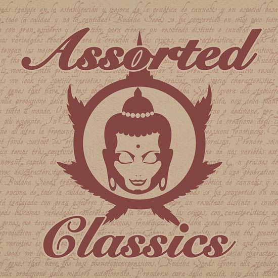 ASSORTED CLASSICS - Buddha Seeds