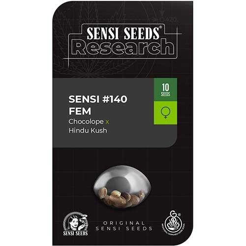Sensi #140 (Chocolope x Hindu Kush) - Sensi Seeds