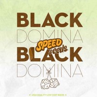 Acquistare BLACK DOMINA X BLACK DOMINA