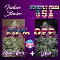 Acquistare INDICA DEAL PACK  - GOLOSA + ELEVEN ROSES
