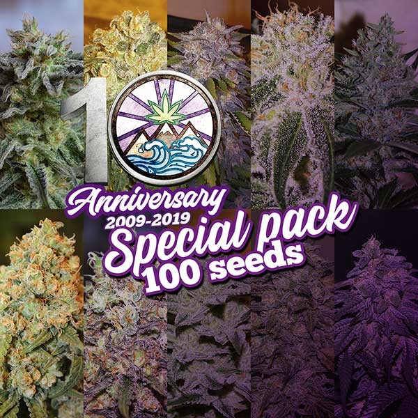 10th Anniversary Pack - 100 seeds - GOURMET COLLECTION - Seeds