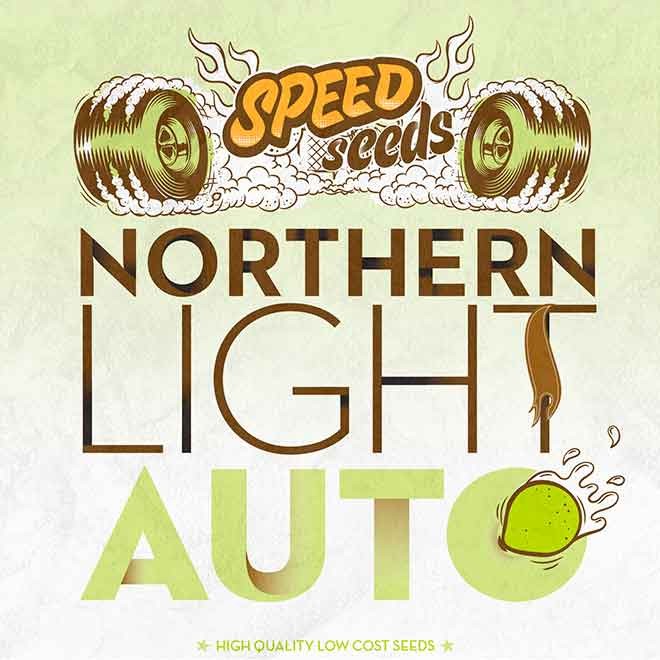 NORTHERN LIGHT AUTO -  - Delicious Seeds