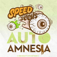 Comprar AMNESIA AUTO (SPEED SEEDS)