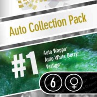 Comprar AUTO COLLECTION PACK #1 