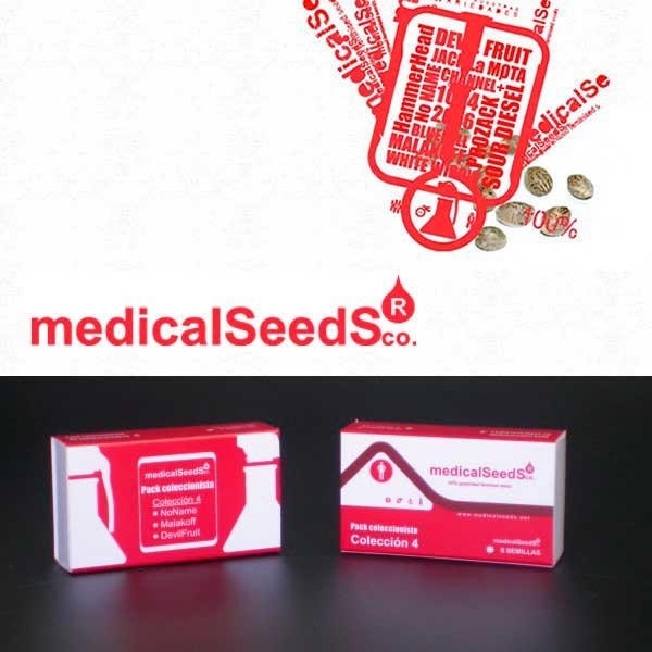Collection #4 6 seeds - Medical Seeds