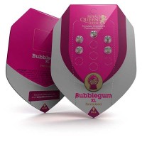Purchase Bubblegum XL