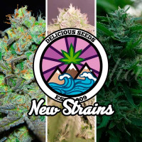 Purchase New Strains Collection