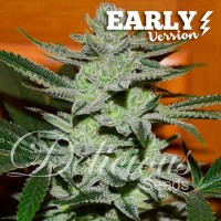 Purchase UNKNOWN KUSH EARLY VERSION