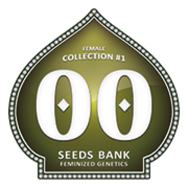 Female Collection - 00 Seeds