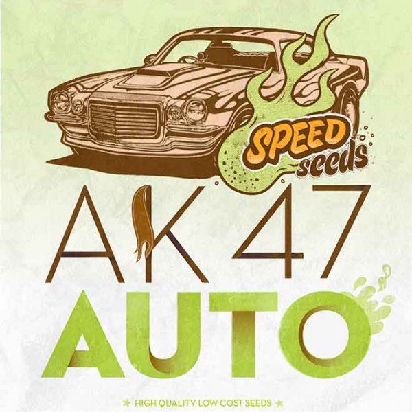 AK 47 AUTO (SPEED SEEDS) - Speed Seeds