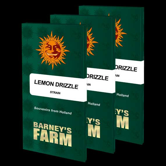 LEMON DRIZZLE - Barney's Farm