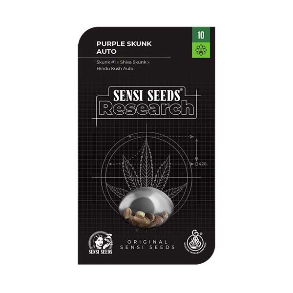 Purple Skunk Auto - Sensi Seeds