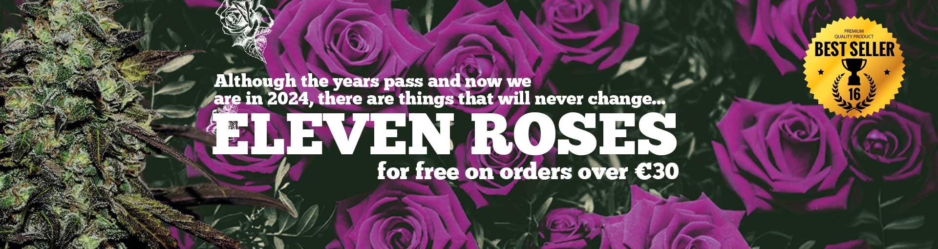 Eleven Roses FREES